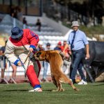 Junot στολή Semi-Training